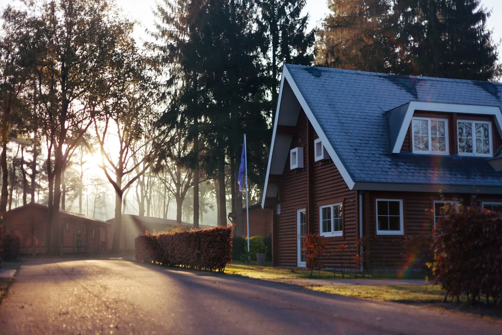 A wood-sided house beside a quiet road and tall trees