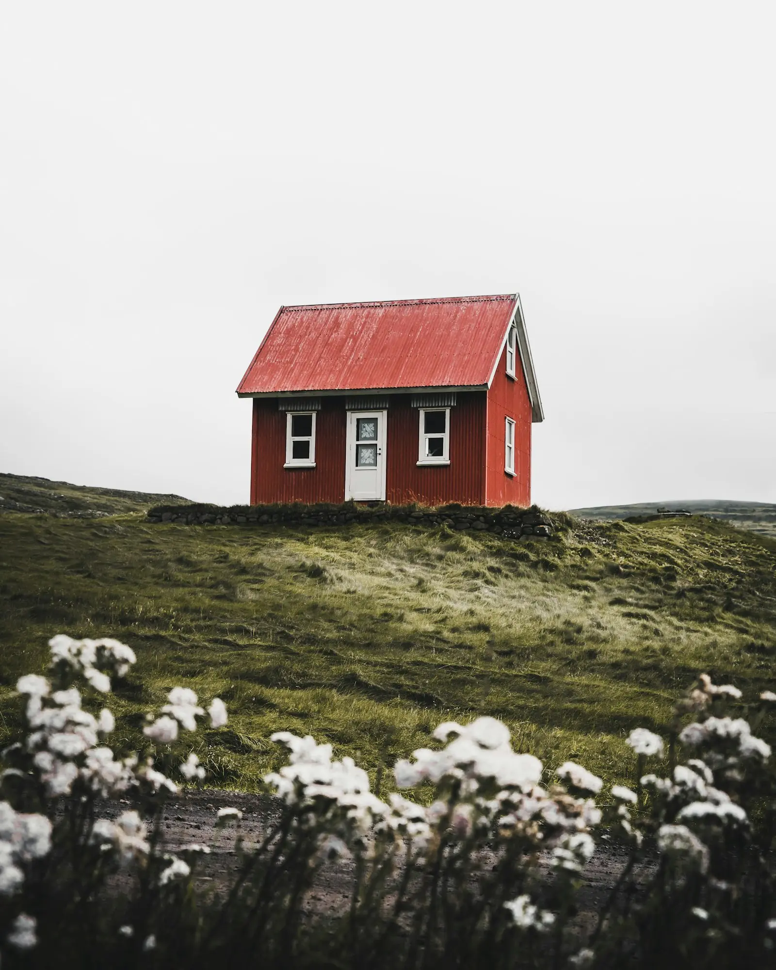 A small house among trees